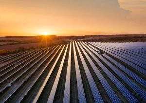 Champs de panneaux solaires au coucher du soleil - la bellenergie