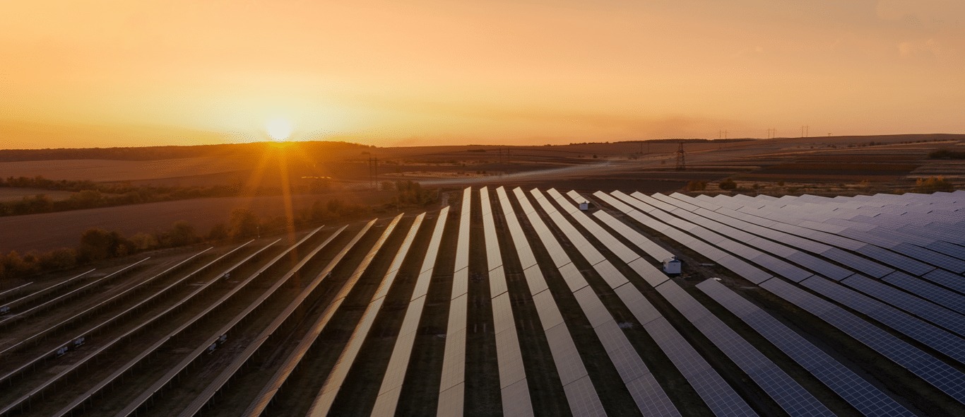 Champs de panneaux solaires au coucher du soleil - la bellenergie
