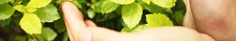 Etre écoresponsable qu'est-ce que cela signifie