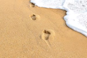 10 actions chocs pour réduire votre empreinte carbone