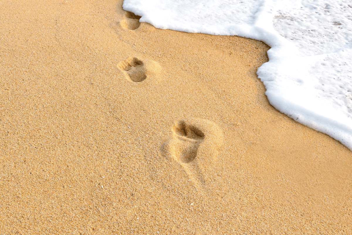 10 actions chocs pour réduire votre empreinte carbone