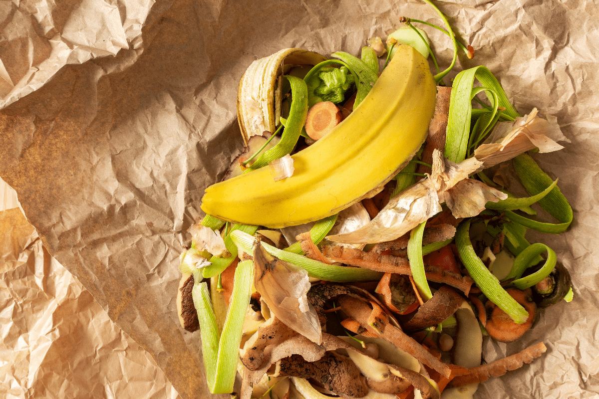 Tri des déchets organiques