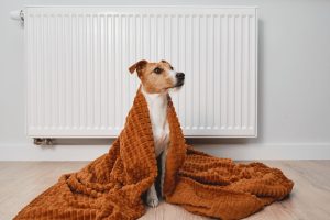 L’automne est de retour faut-il chauffer les pièces inoccupées ?