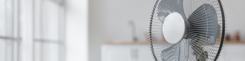 Ventilateur à pales