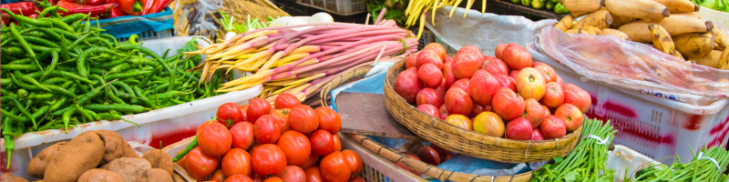 Bio local et de saison