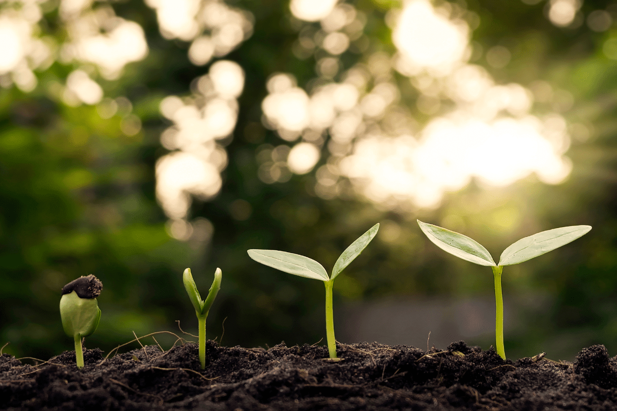 Protéger la planète