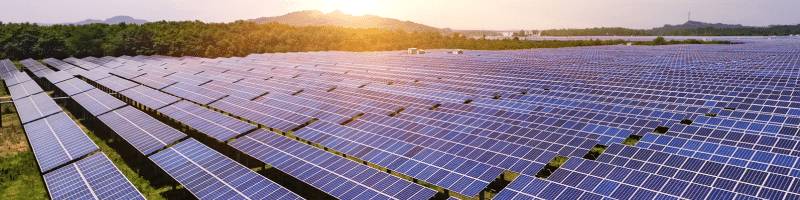 offre électricité verte