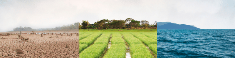 8 décembre une journée pour prendre le climat à bras-le-corps