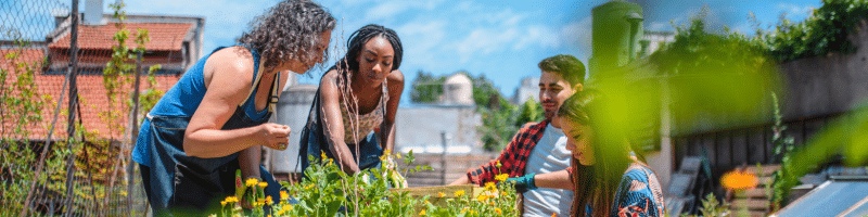 Contribuer a un jardin partagé