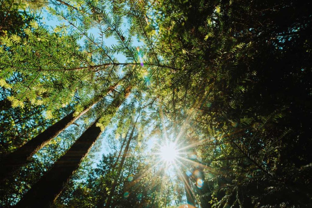 la bellenergie - ce qui fait la différence