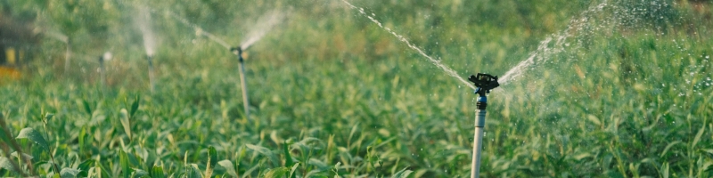 Installer des systèmes d’arrosage économes