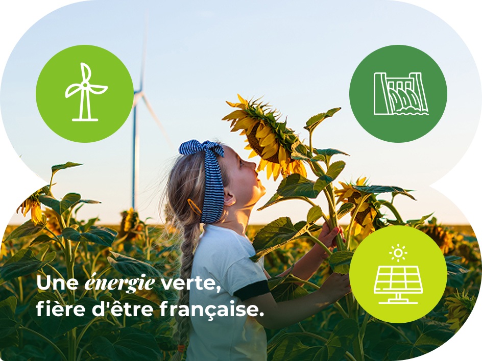 Energie verte et française - Composition