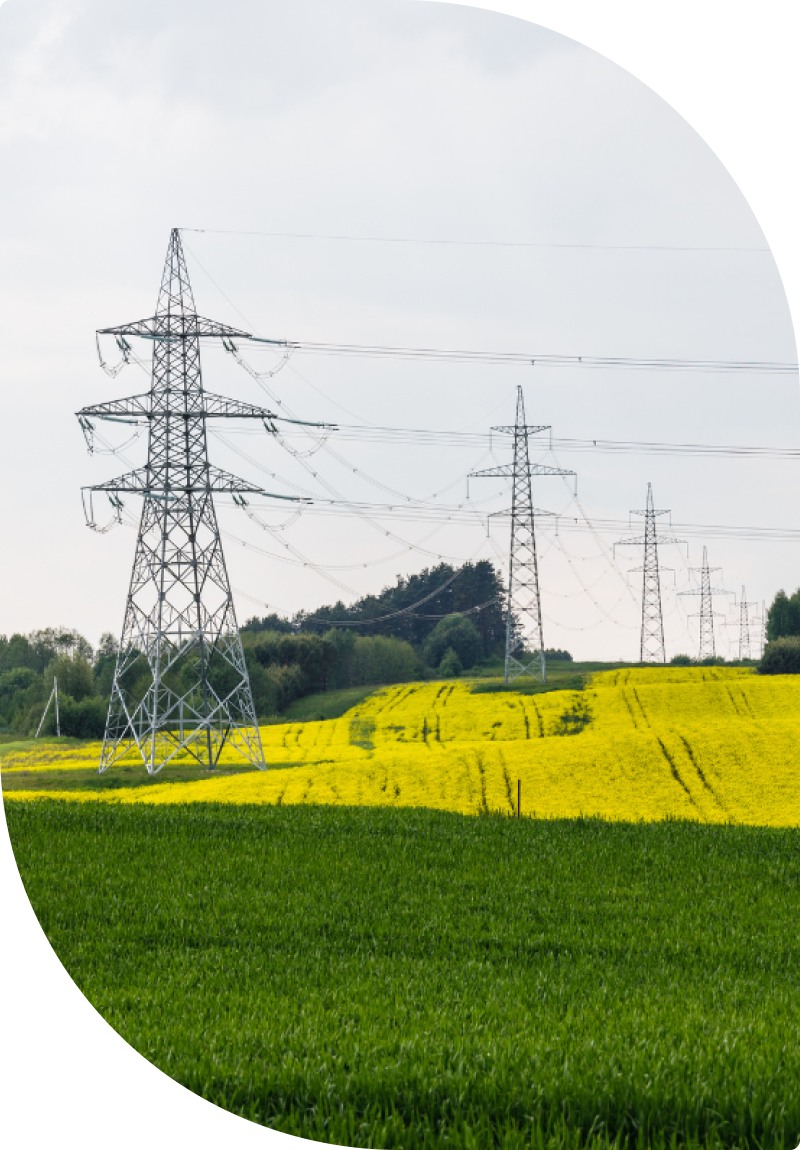 Réseau électrique commun aux fournisseurs d'électricité