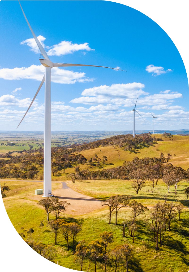 Paysage avec ciel bleu et éoliennes