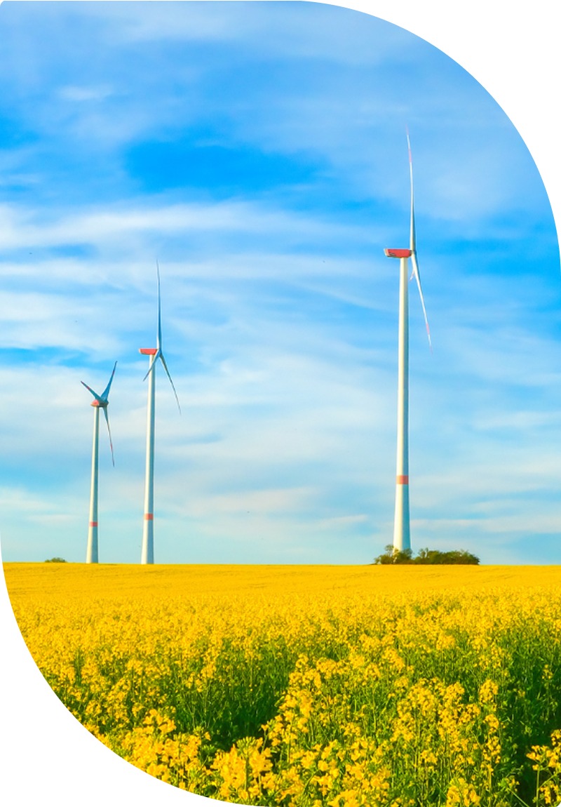 Donnez une dimension plus personnelle à votre électricité verte