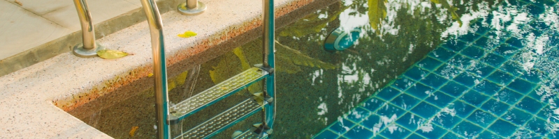 Piscine écologique